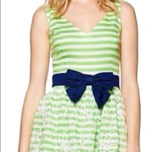 Lilly Pulitzer Fit and Flare Dress